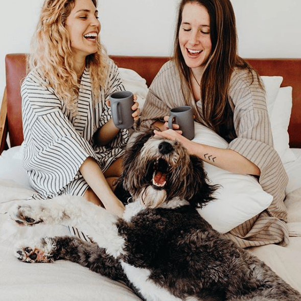 how-i-launched-a-direct-to-consumer-bed-pillow-business