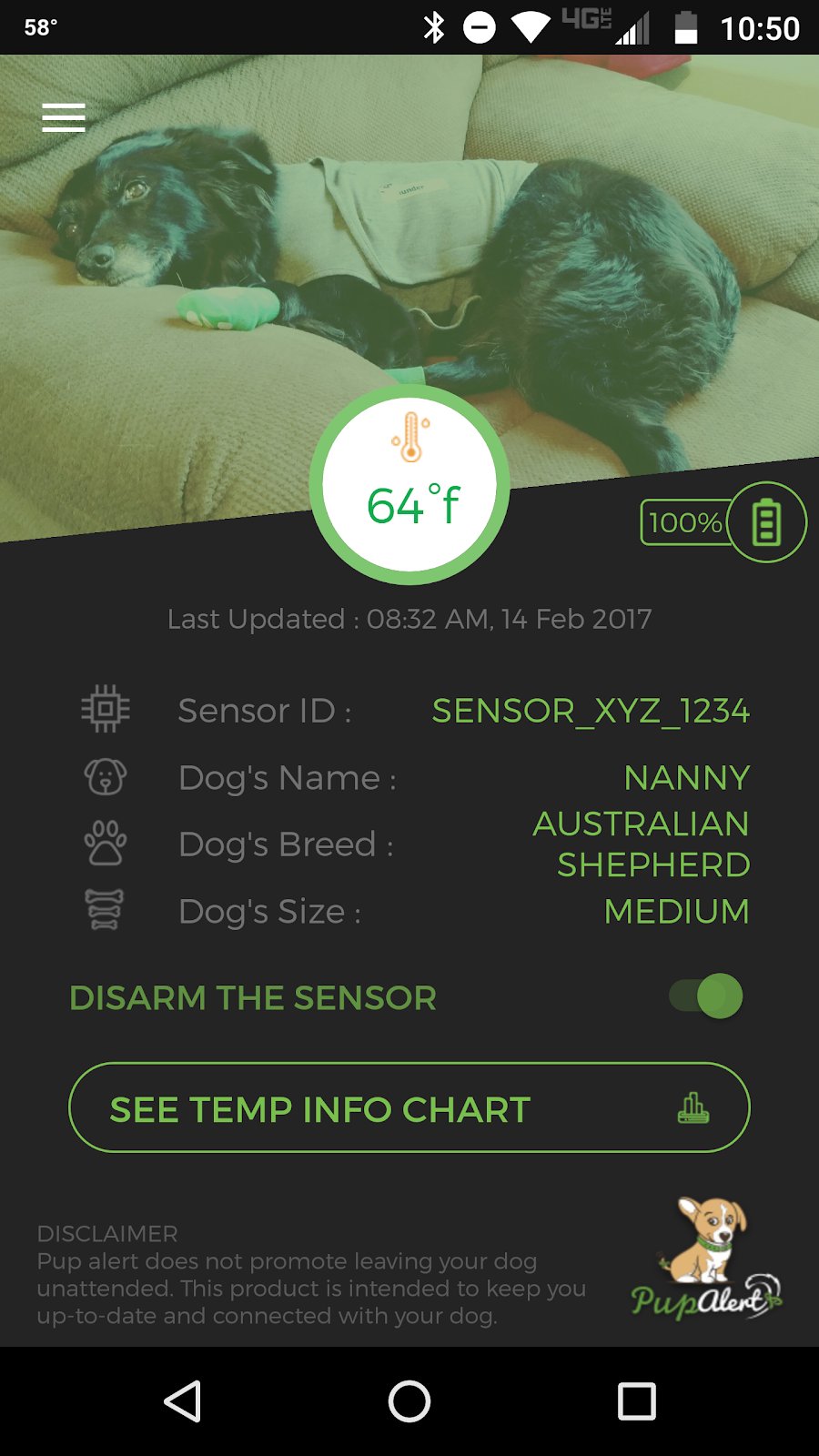 how-i-created-and-launched-a-fitbit-for-dogs