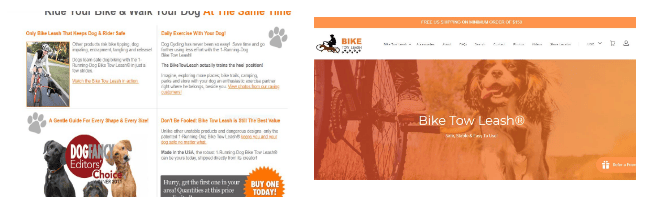 how-i-started-a-6-figures-business-selling-a-dog-accessory