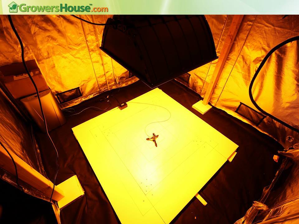 how-we-built-35m-plant-growing-empire-growershouse