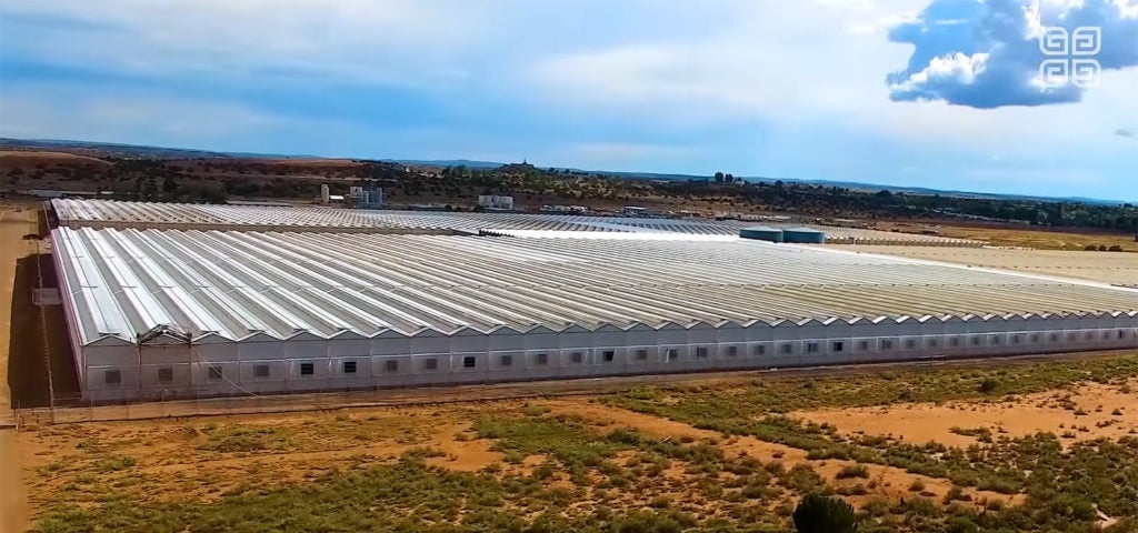 how-we-built-35m-plant-growing-empire-growershouse