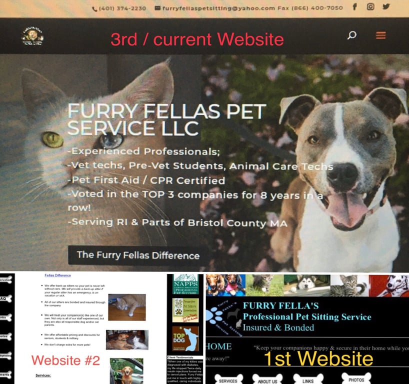 how-i-started-a-54k-month-pet-sitting-and-dog-walking-business