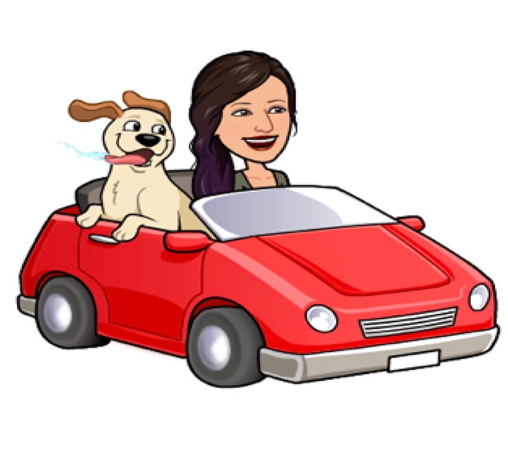 how-i-started-a-54k-month-pet-sitting-and-dog-walking-business