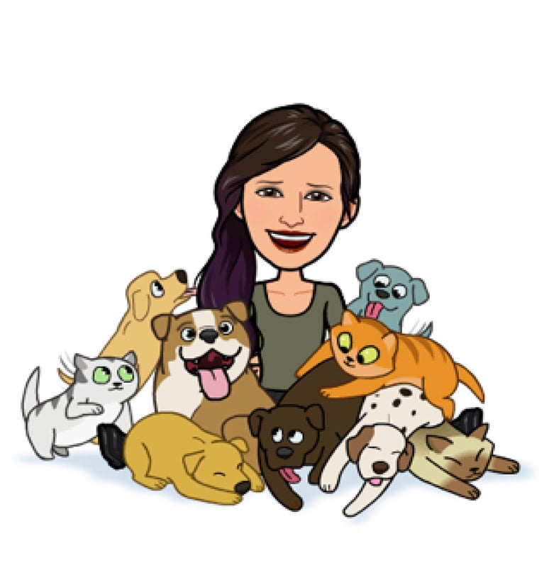 how-i-started-a-54k-month-pet-sitting-and-dog-walking-business