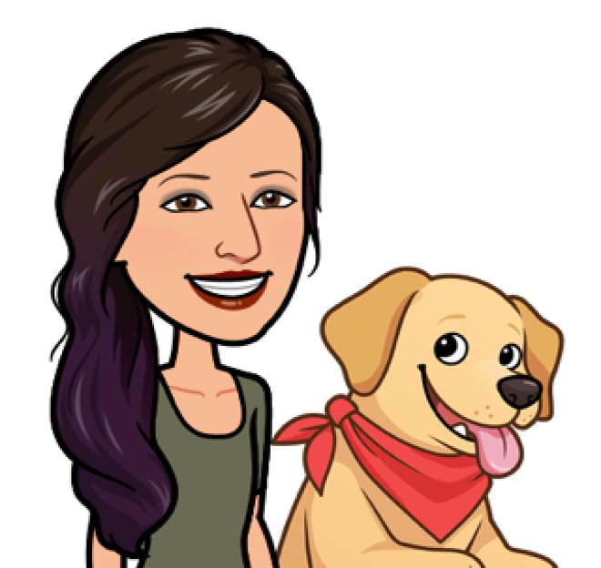 how-i-started-a-54k-month-pet-sitting-and-dog-walking-business