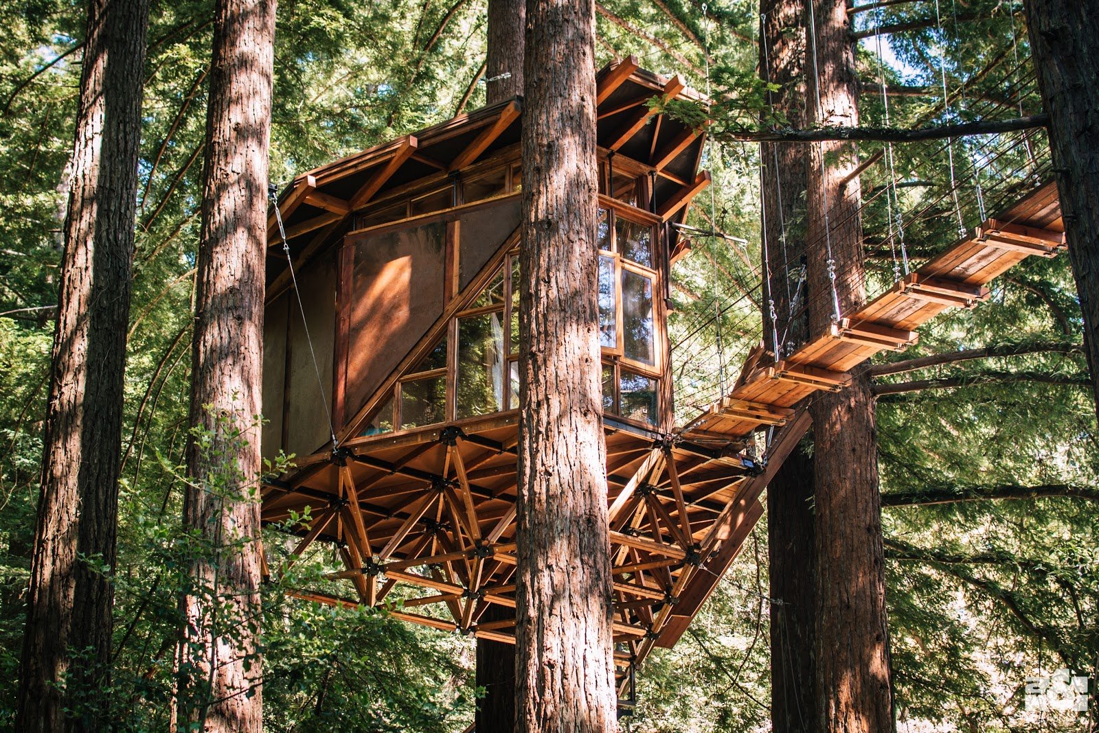 how-i-started-a-63k-month-custom-built-treehouses-business-and-got-featured-in-over-85-publications