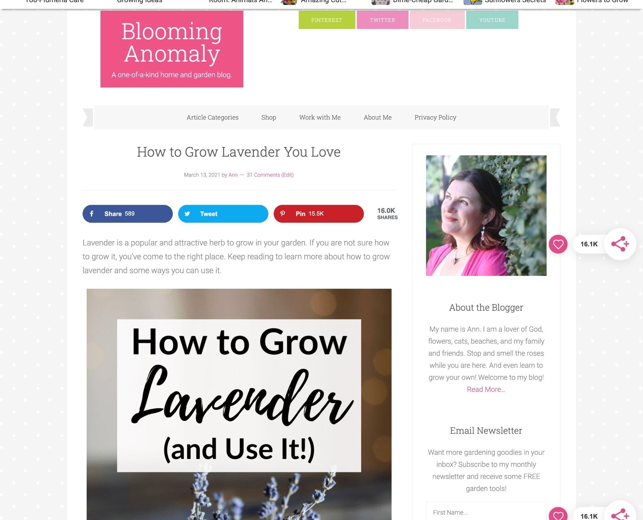 i-turned-my-love-for-urban-gardens-into-a-profitable-blog