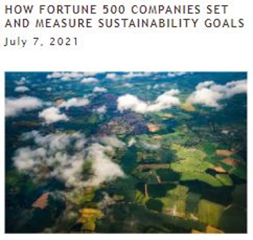 check out the full post [here](http://www.sustainabilityconsulting.com/blog/2021/6/29/how-fortune-500-companies-set-and-measure-sustainability-goals)