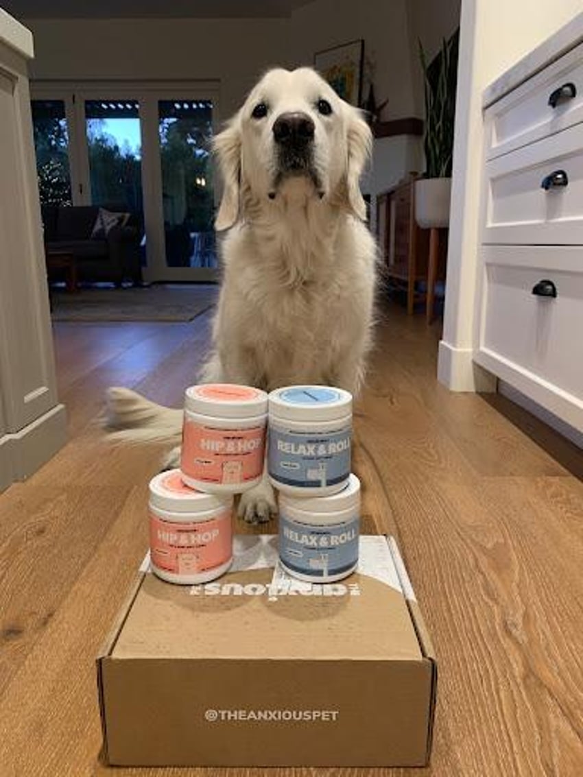 making-1m-year-with-the-cbd-treats-that-calm-my-anxious-dog