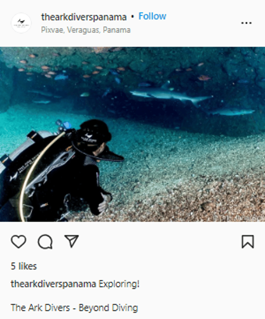200+ Best Scuba Diving Captions for Instagram [2022] Starter Story