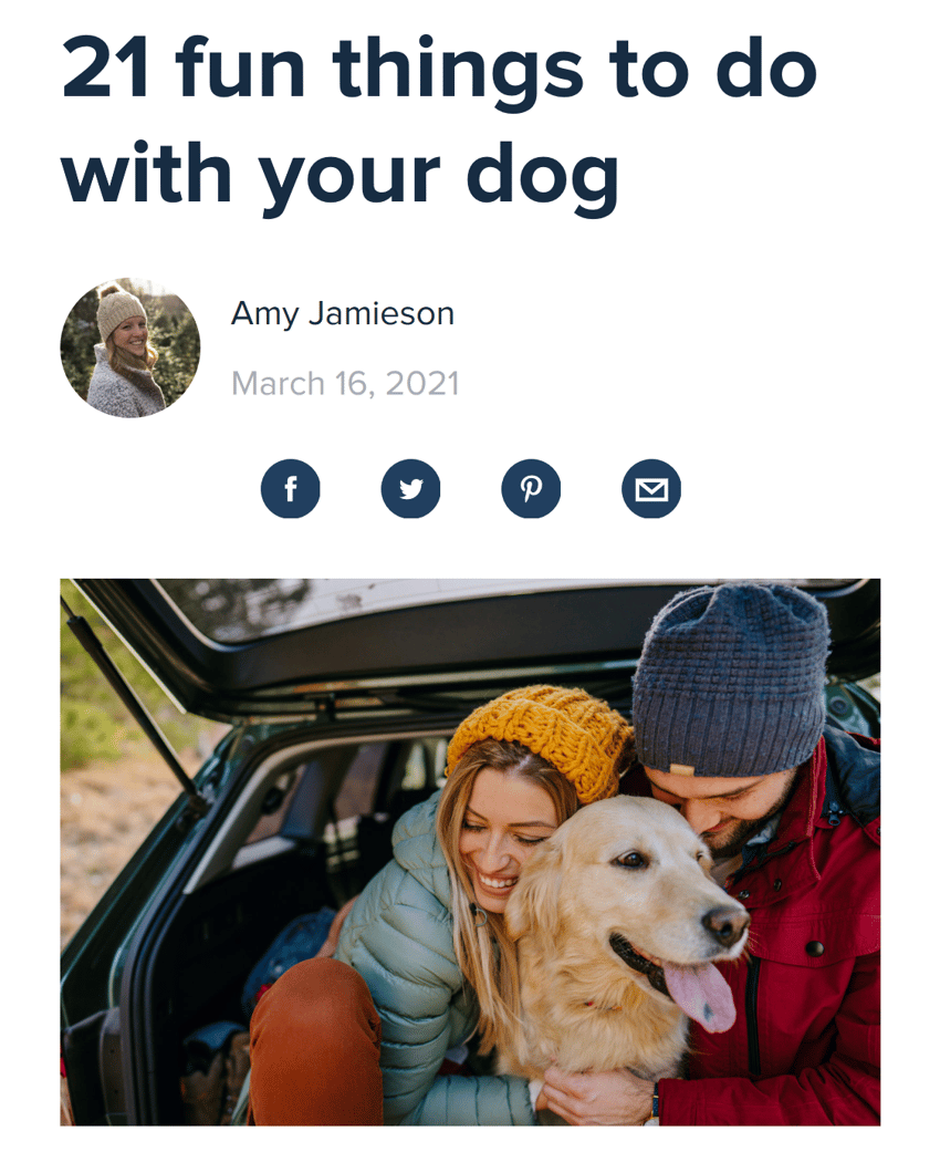 check out the full post [here](https://www.care.com/c/101-things-to-do-with-your-dog)