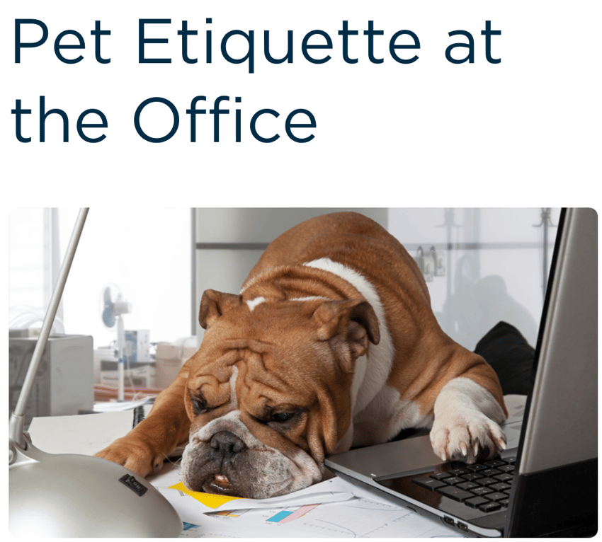 check out the full post [here](https://www.petinsurance.com/healthzone/ownership-adoption/pet-ownership/pet-behavior/pet-etiquette-at-the-office/)