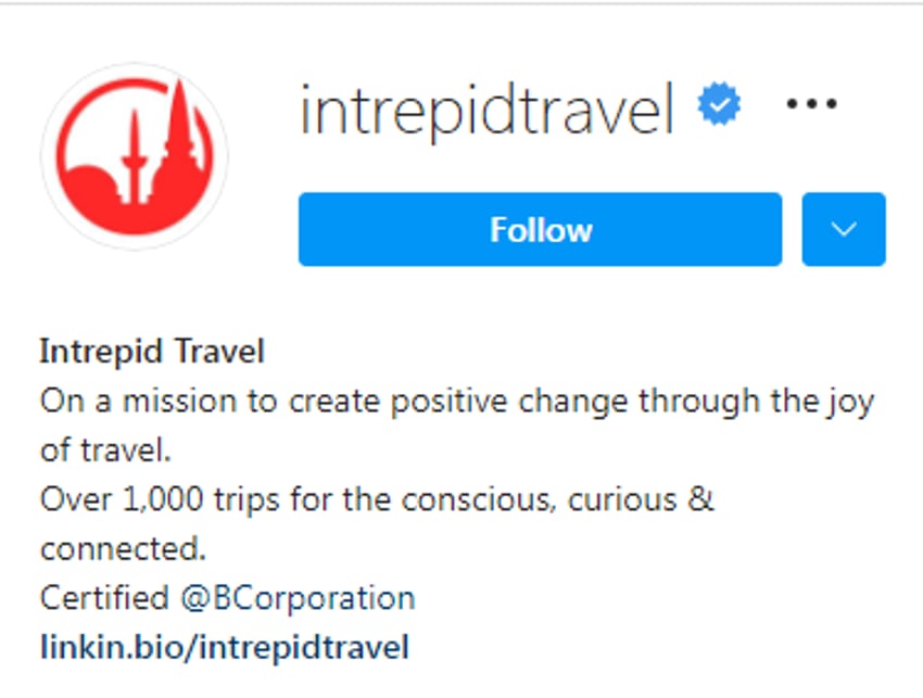 710+ Best Instagram Bios For Travel Agents Starter Story