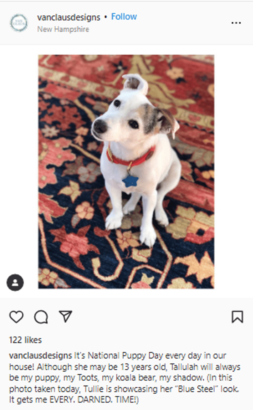 120 Best National Puppy Day Instagram Captions [2022] Starter Story
