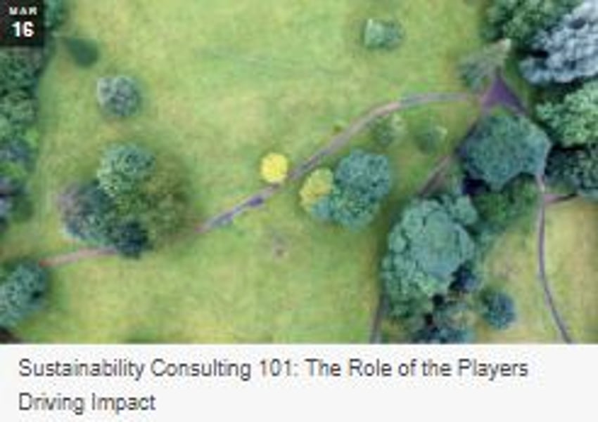 check out the full post [here](https://blogs.uoregon.edu/uobusiness/2018/03/16/sustainability-consulting-101-the-role-of-the-players-driving-impact/)