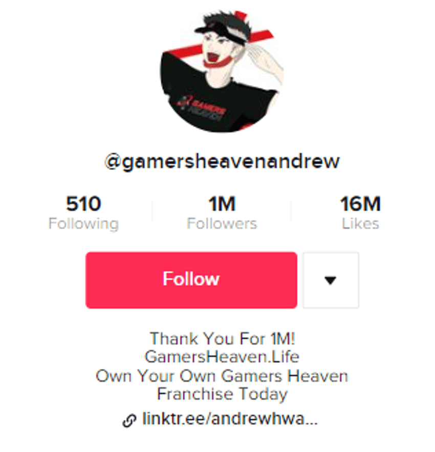 200+ TikTok Bio Ideas For Gamers [2022] - Starter Story
