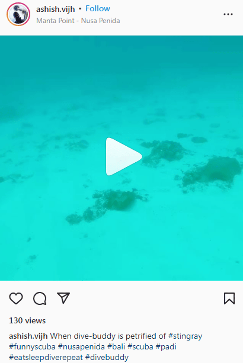 200+ Best Scuba Diving Captions for Instagram [2022] Starter Story