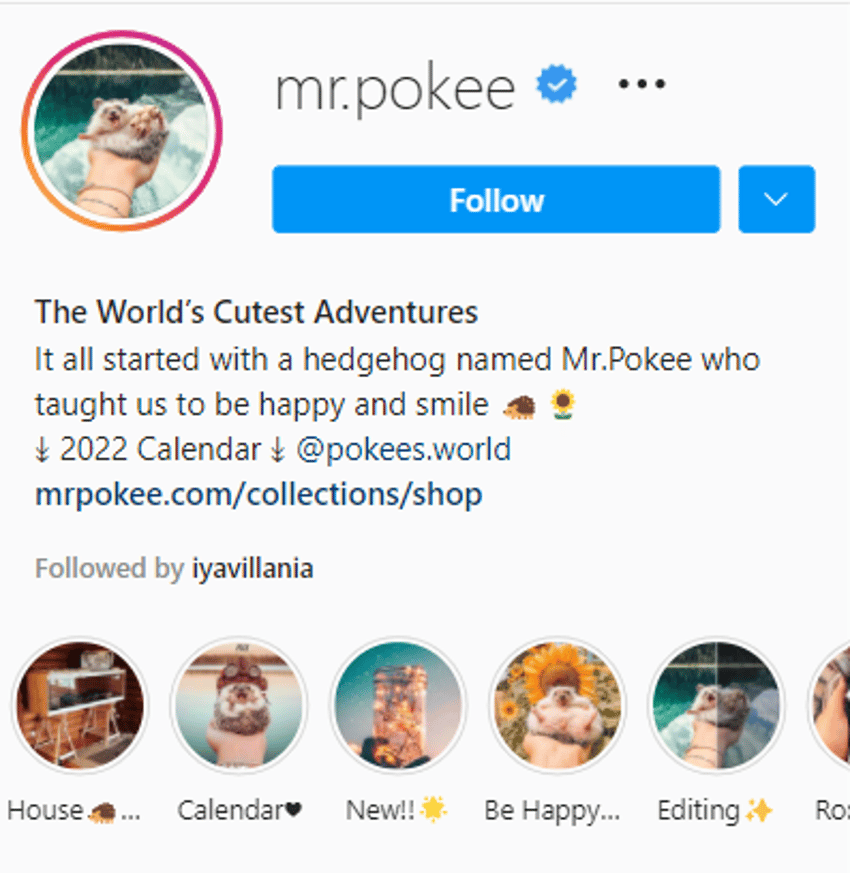 200 Best Instagram Bios for Your Travel Blog & Account Starter Story