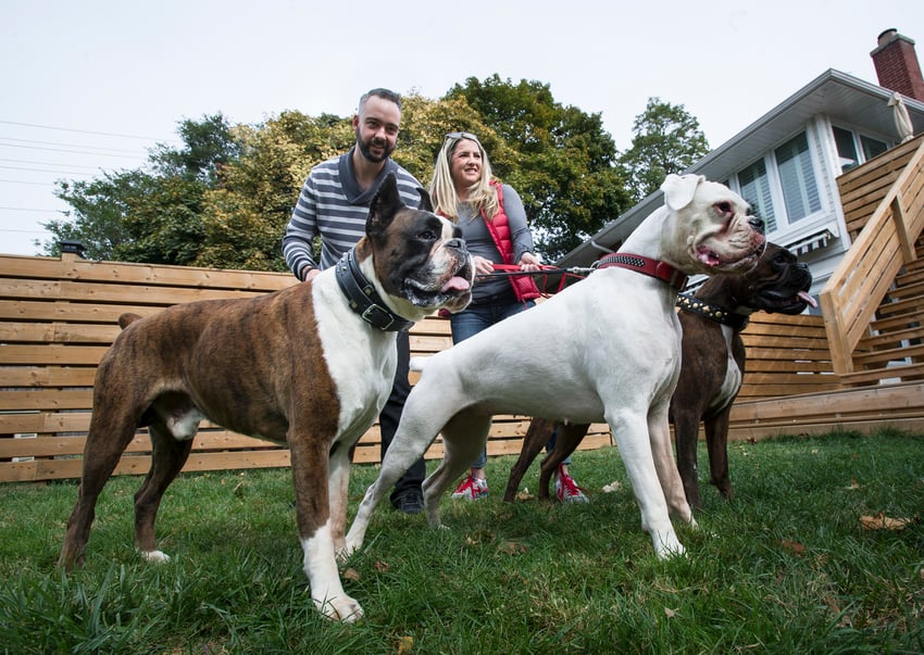 how-this-couple-started-a-healthy-dog-treat-business