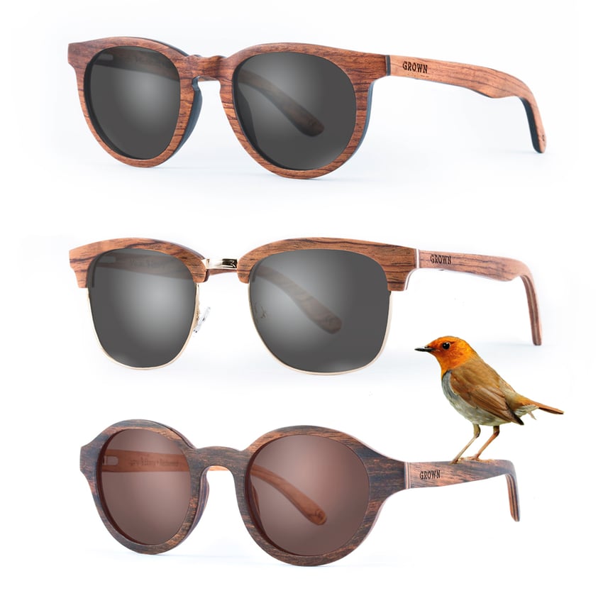 starting-a-wooden-sunglasses-brand-and-getting-on-shark-tank
