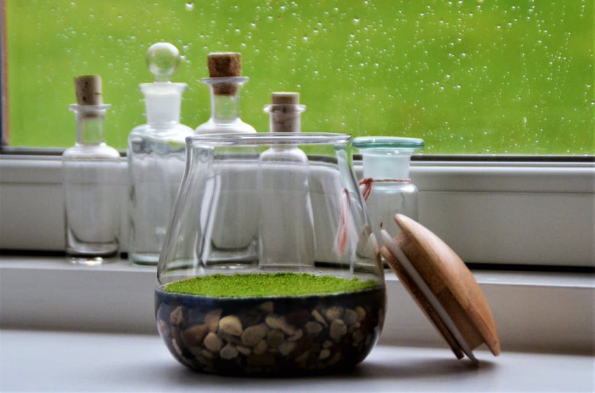 how-two-scientists-created-a-natural-air-freshener-from-moss