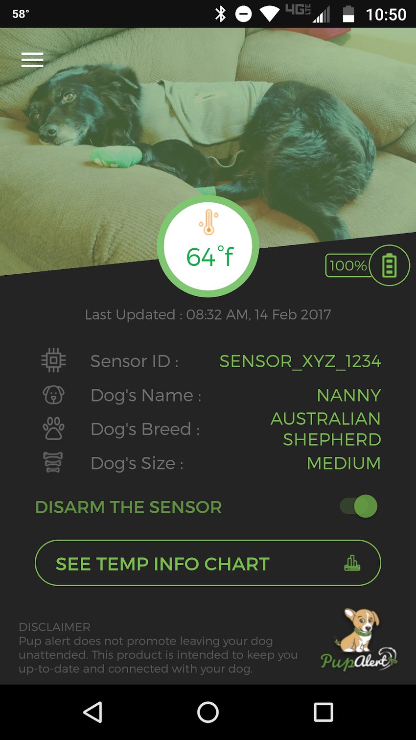 How I Created And Launched A Fitbit For Dogs Starter Story