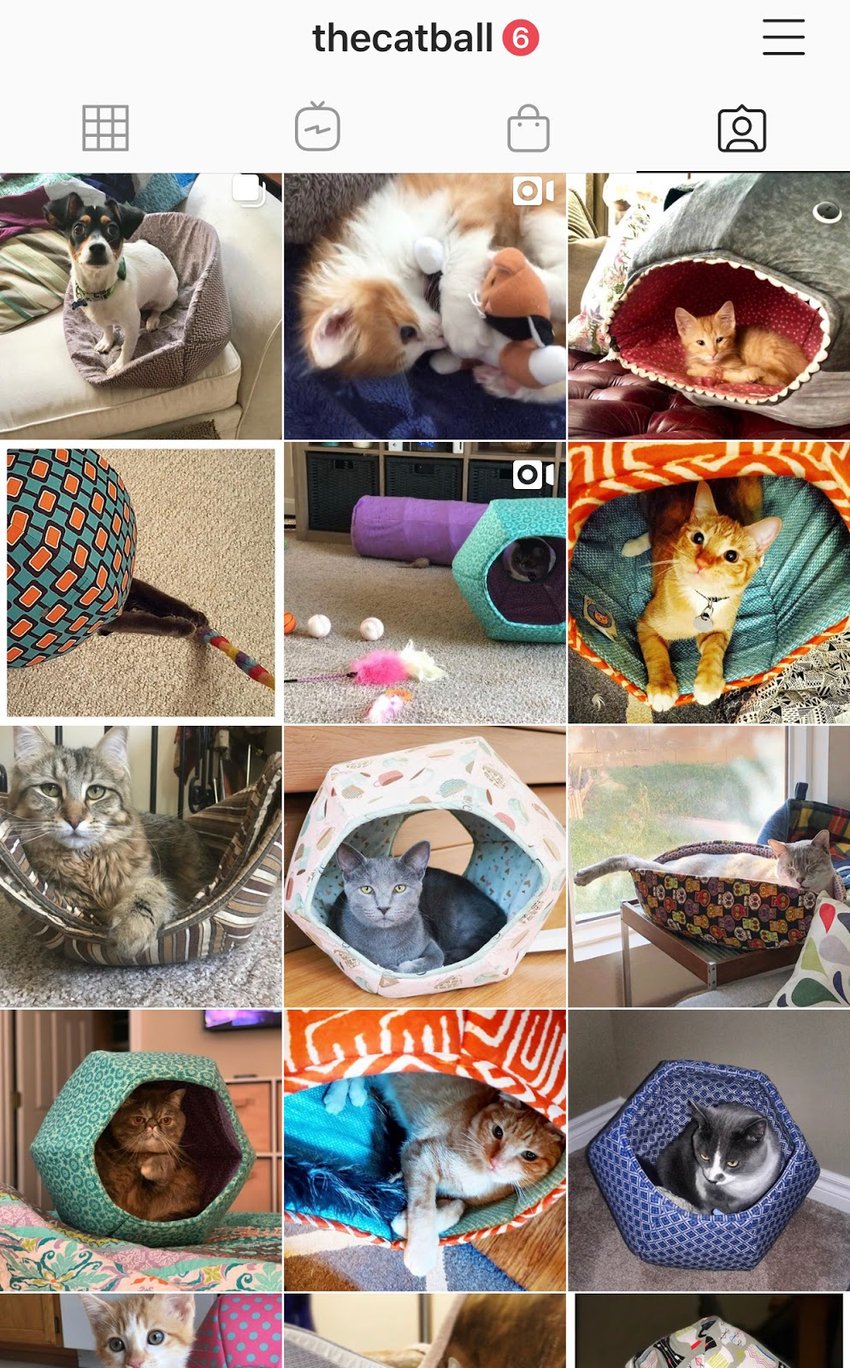 on-creating-modern-cat-bed-designs