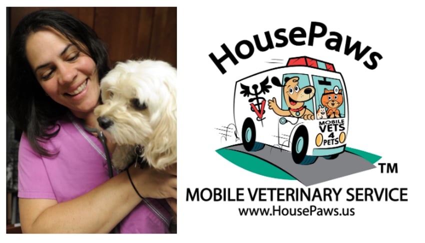 how-i-started-a-580k-month-mobile-veterinary-service
