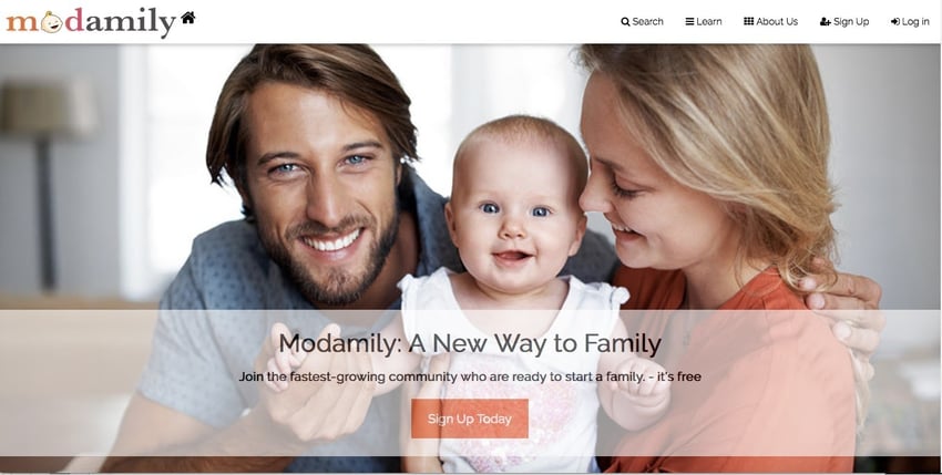 how-i-created-a-13k-month-website-to-help-people-start-a-family
