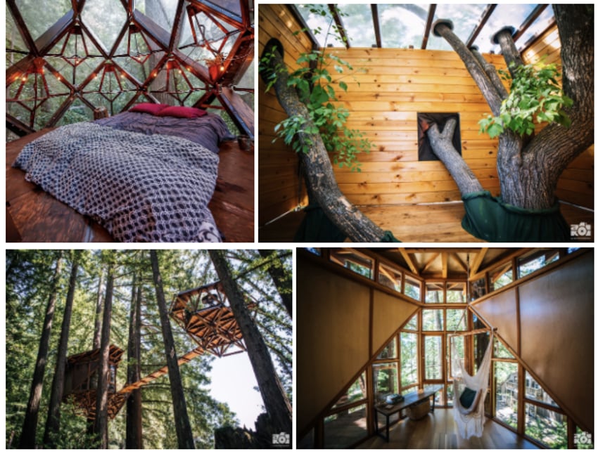how-i-started-a-63k-month-custom-built-treehouses-business-and-got-featured-in-over-85-publications