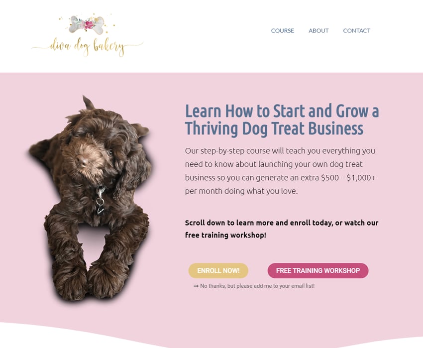 how-i-created-a-11k-month-online-course-about-how-to-start-and-grow-a-dog-treat-business