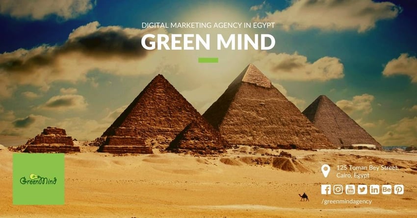 how-a-self-taught-programmer-built-a-digital-marketing-agency-in-egypt