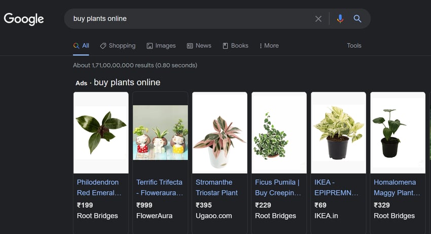 from-investment-banker-to-starting-a-350k-year-plants-ecommerce