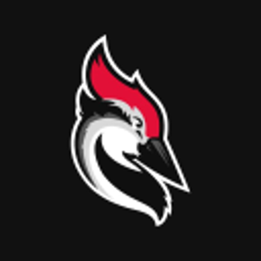 Woodpecker logo